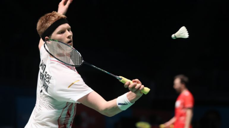 期望可能会 期望可能会