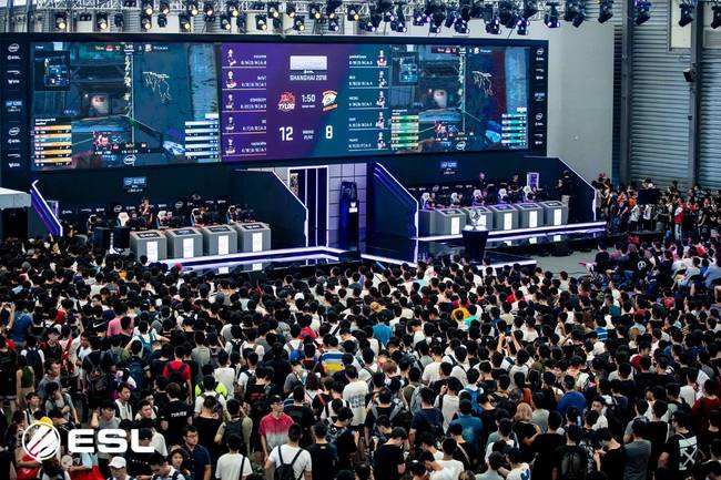 总体而言 总体而言