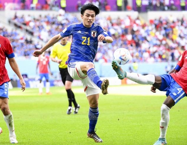 坦帕湾光芒 坦帕湾光芒